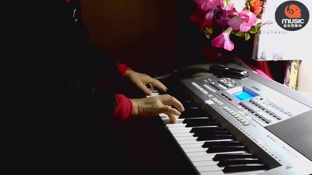 流浪兄弟电子琴曲谱_电子琴曲谱(5)