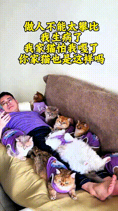 主人生病了，安安静静躺在沙发上刷手机，浑身没力气不想动弹。家里的猫咪察觉到主人状