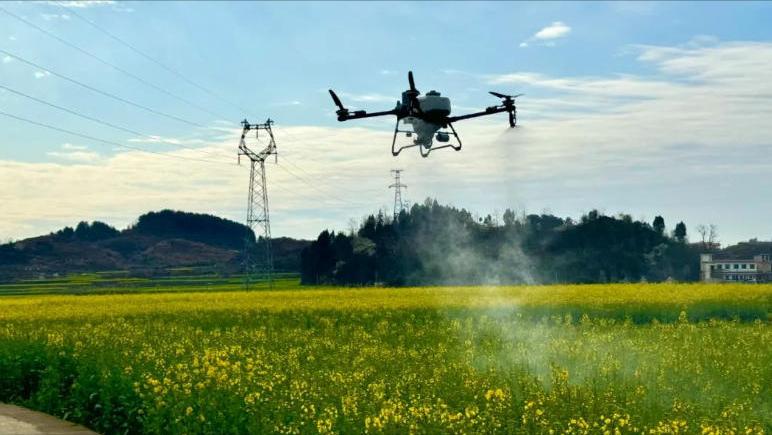 怒不可遏！未经农户同意，强行给油菜花打药，这不是保产是侵权！全网炸怒！近期“给油