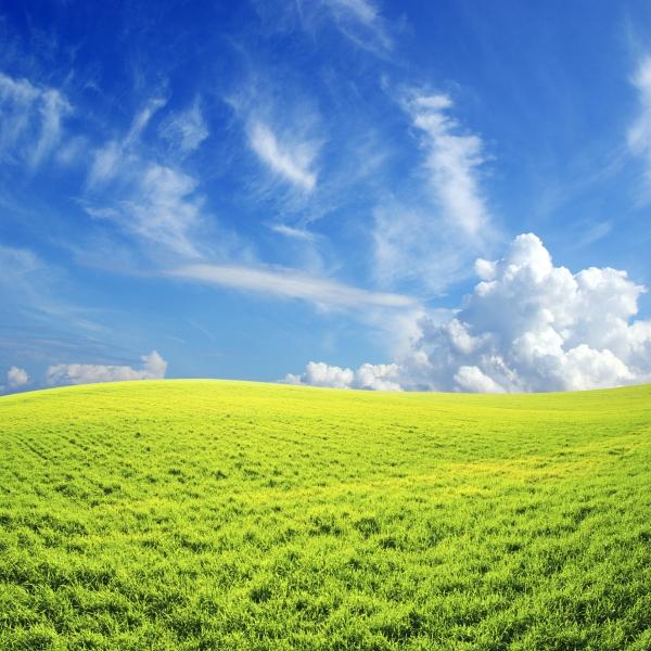 “这叫知恩图报！农民连续13年送土特产，背后竟藏着一段暖到心坎的感恩故事”