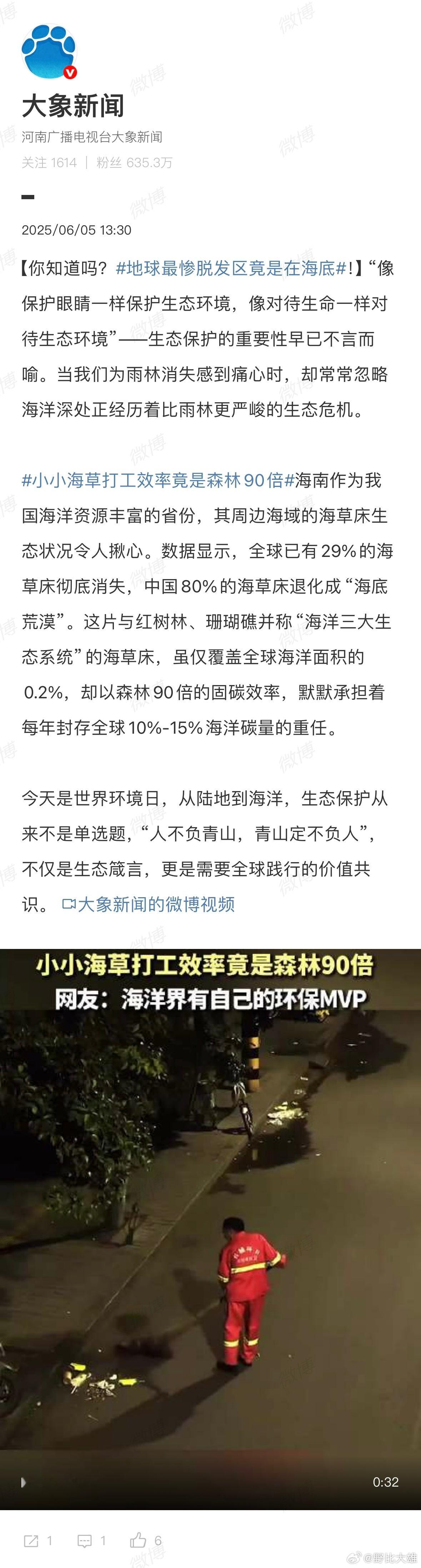 地球最惨脱发区竟是在海底？海草床秃得比程序员还快！而它吸碳效率是森林90倍，咱就