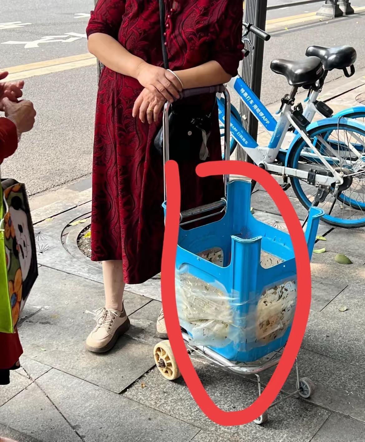 这大姨有办法啊