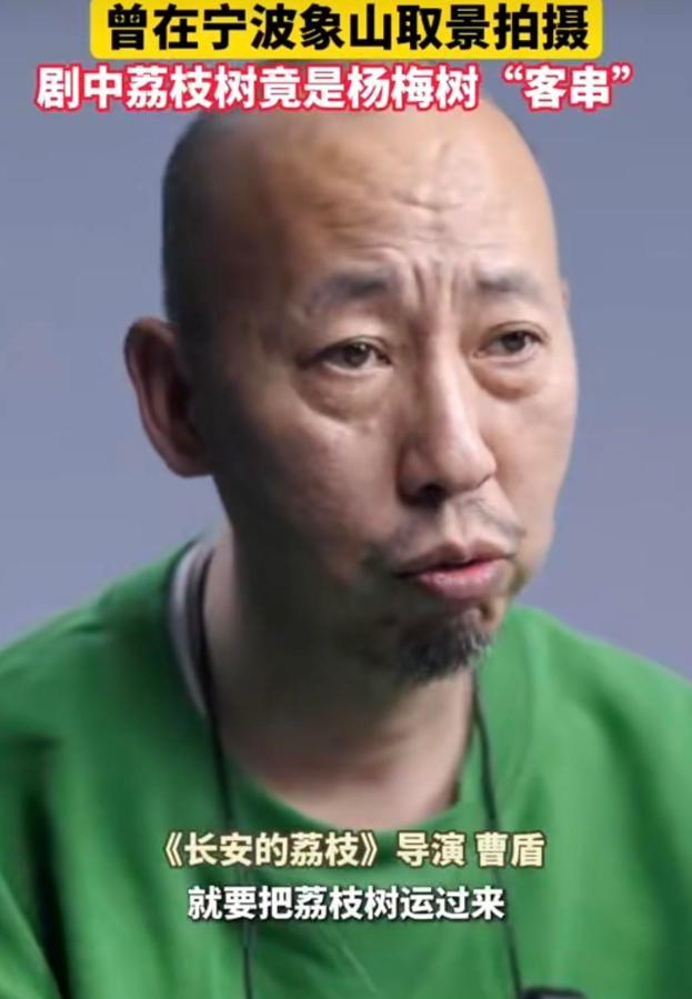 《长安的荔枝》这波操作真让人挠头！导演说拍荔枝树怕运过来会死，直接用杨梅树替代；