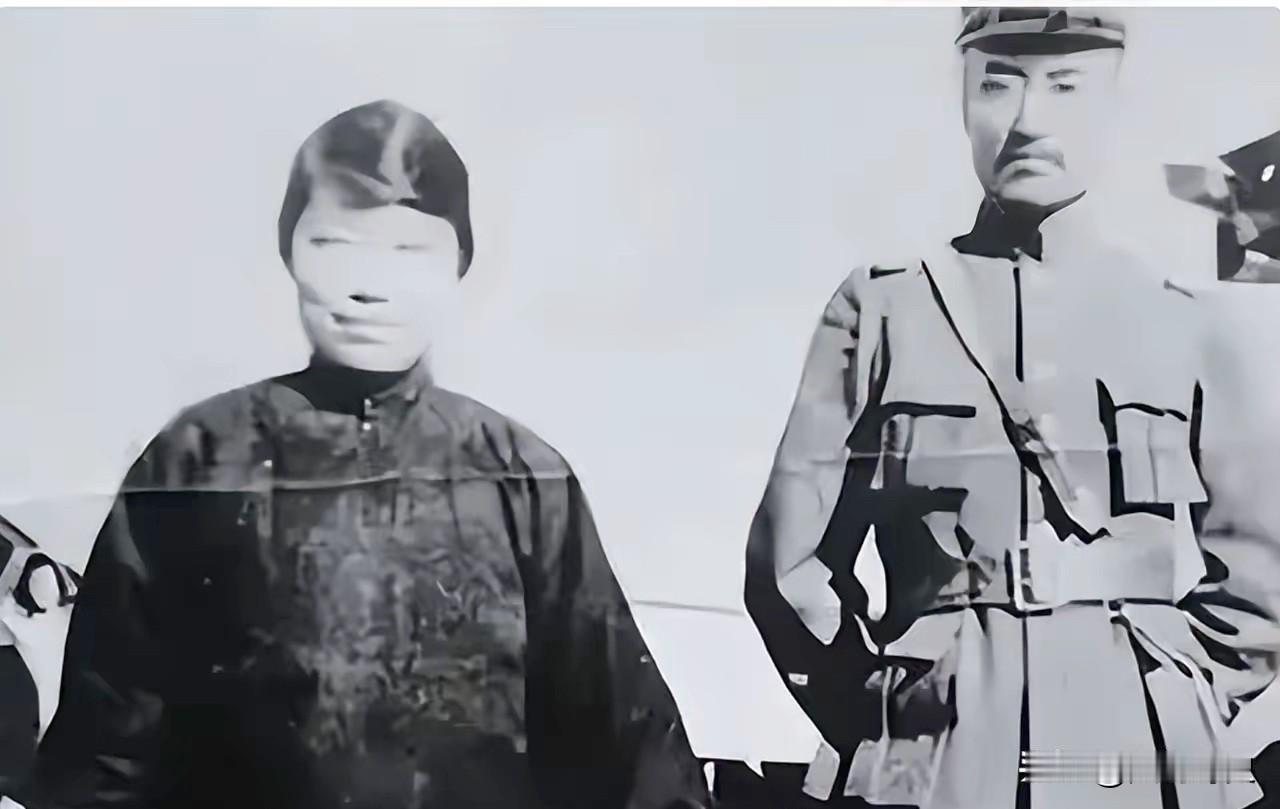 1949年的北平，春风里还裹着几分料峭寒意，散兵游勇登记处的院子里，几株老槐树刚