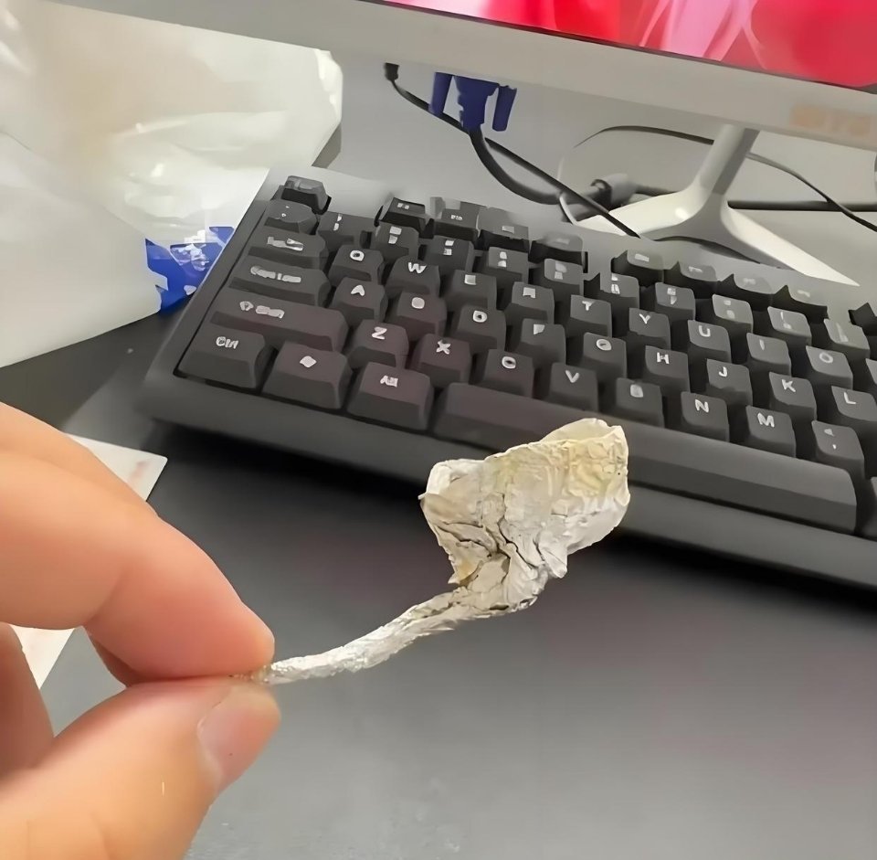 家里小女孩房间发现的这是什么东西