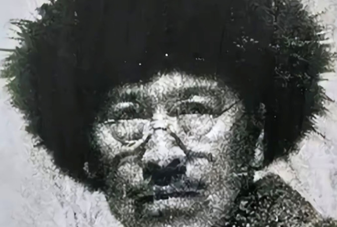 1937年腊月，300多个鬼子闯进村庄找抗联，不提供线索就杀掉，突然，一爱国地主