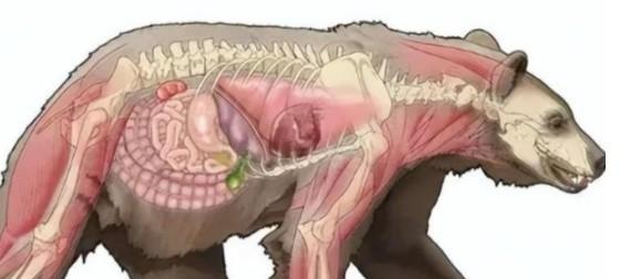 1985年，桑顿的飞机发生事故，导致1500万美元的可卡因散落在森林中。结果，一