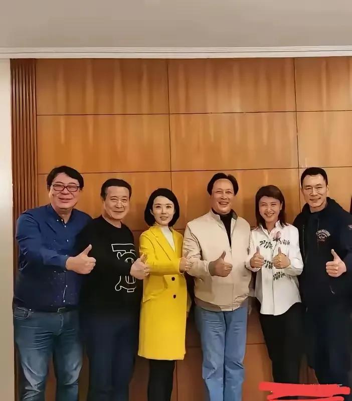 六位明星同框照实在是太有画面感了，你们认识吗？我只认识其中两位，分别是高亚麟