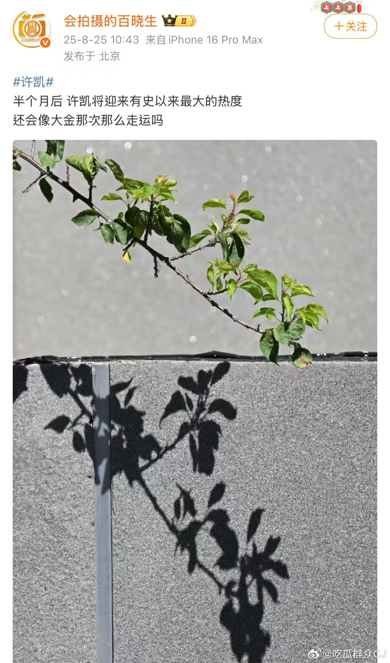 半个月前狗仔预告“许凯将迎来史上最大热度，不会像大金事件那么走运”的“猛料”是许