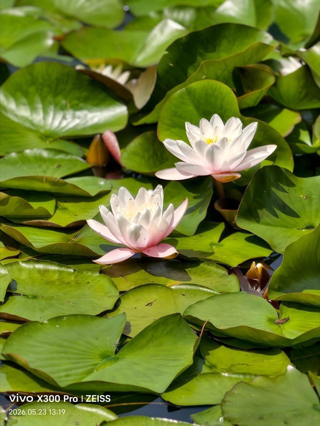 人一旦不联系，就什么都不是了，我们交换时间，交换情绪，交换价值，一旦停止交换，那