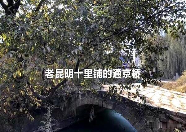 昆明茶这名头可不是吹的。我当年知青下乡就在官渡金马公社十里铺，挨着白沙河水库，