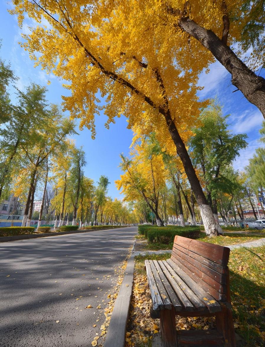 昨天，我把微信里所有的群全退掉了。没半点犹豫，这回我算是彻底想通了，以后不管什