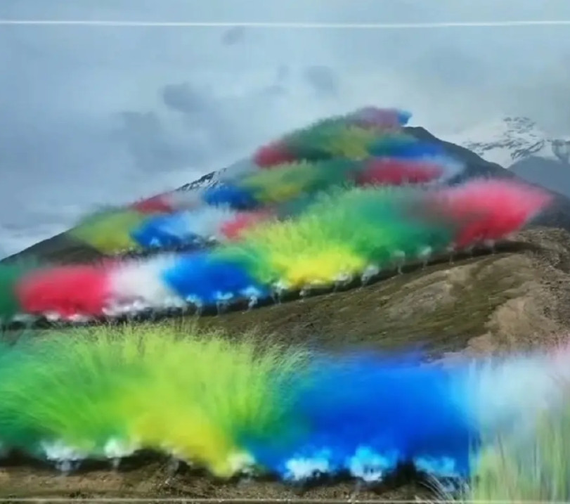 蔡国强耗费巨款在喜马拉雅山脉搞了一场烟火秀，弄得惊天动地，官方说报备了，不在保护