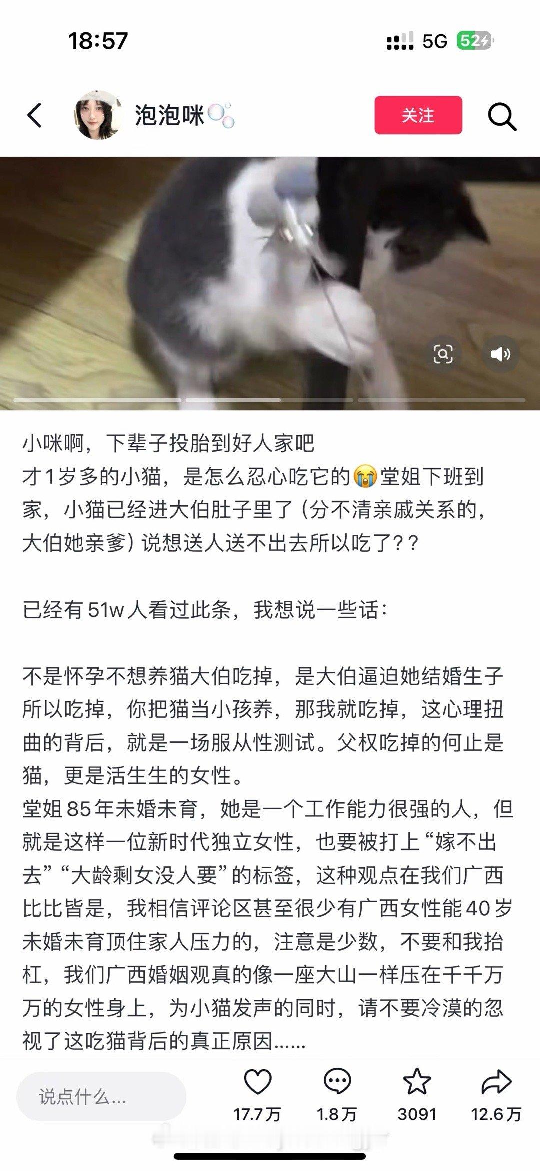 天呢吃猫逼婚…这是2025的故事吗