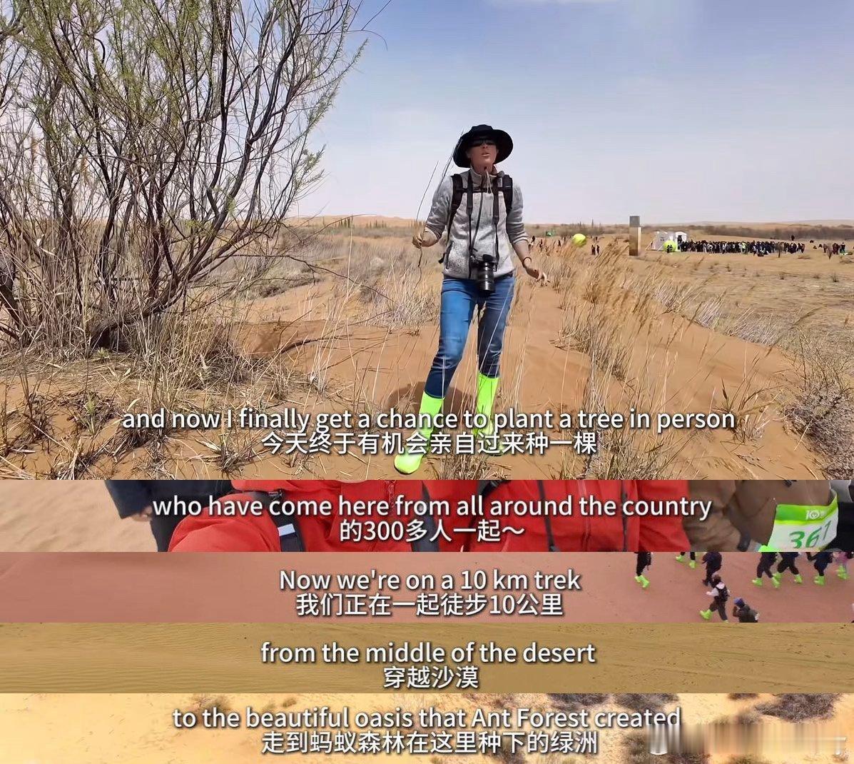 海外网友说只有中国在让世界变美好居然有人8年种了200多棵树，中国真的在用行动让