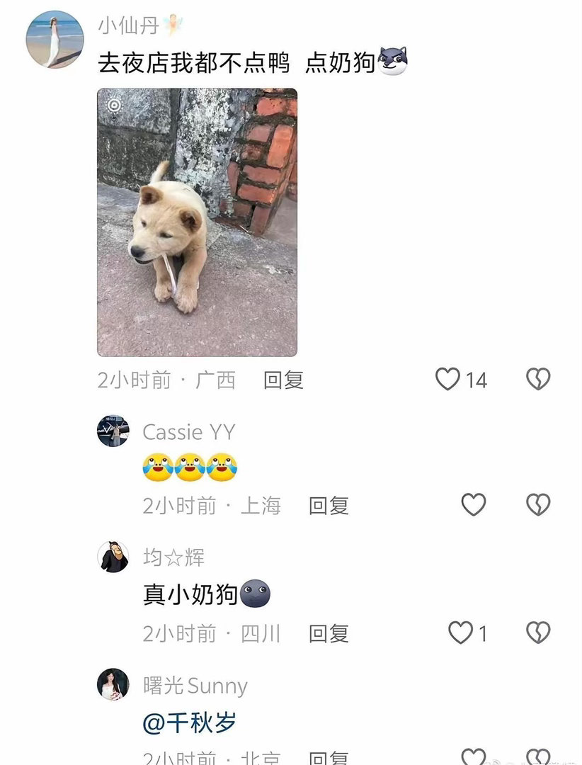 梗王VS天赋型网友