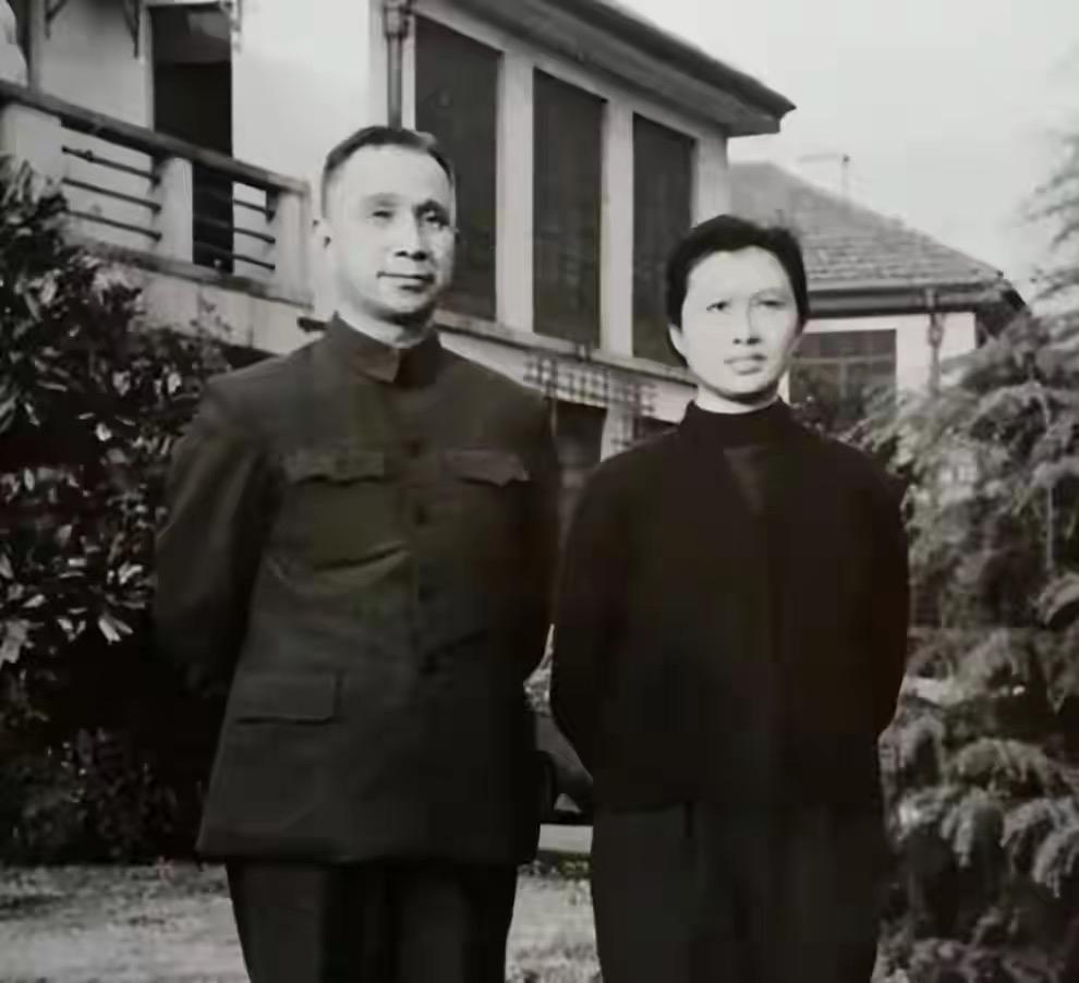 如何评价豫东战役（1948）?粟裕大将主导的豫东战役，其功绩怎么评价都不为过