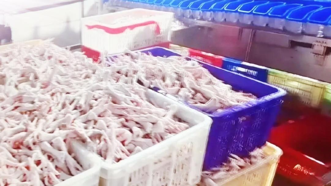 🔥315最讽刺一幕！被曝光鸡爪公司股东，正在看晚会。315晚会曝光黑心漂白鸡爪