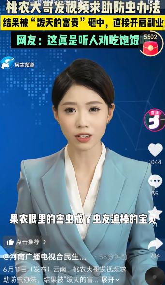 意外走红！云南一果农本是为了桃子被甲壳虫大量啃食而发愁，满头大汗拍视频上网求助，