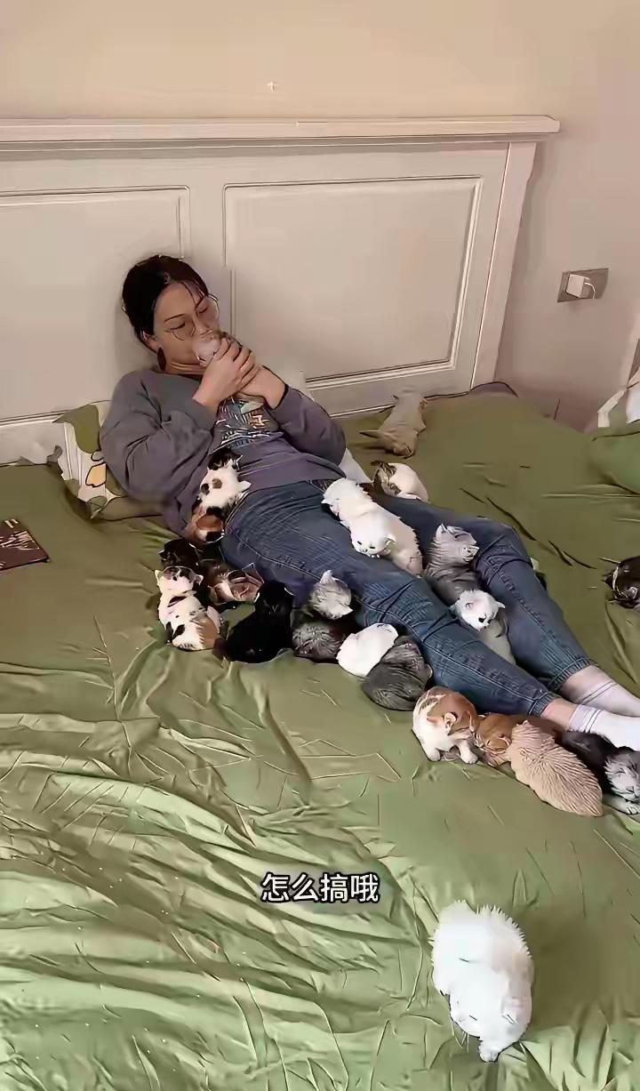 “全家愁的睡不着！”一位网友发帖求助，家里89年的侄女，顶着985博士光环，在科