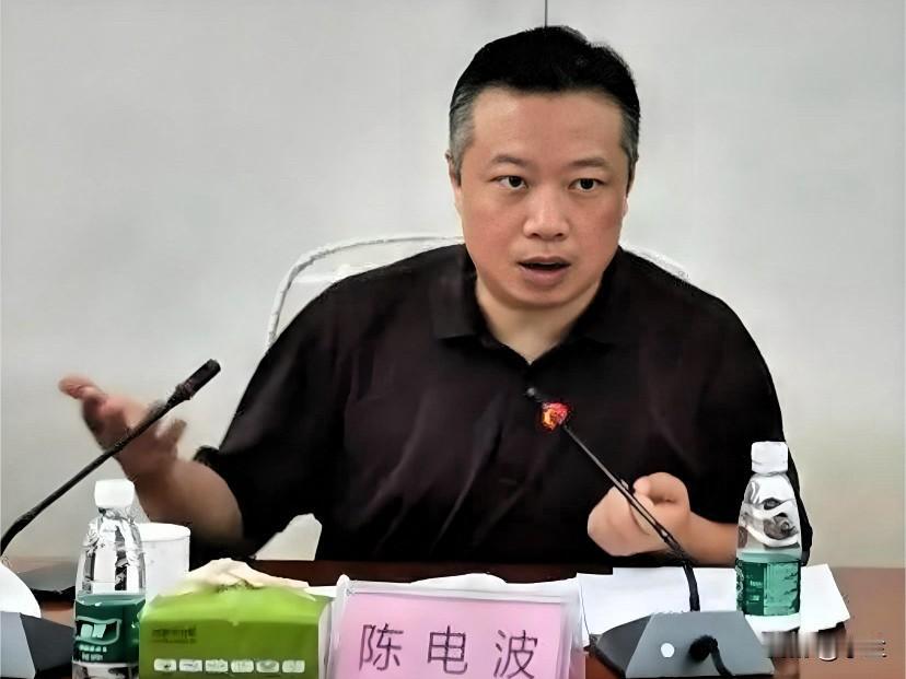 今天广东的陈电波上了热搜，他是湖南湘潭人，学历很高（研究生学历），他1993
