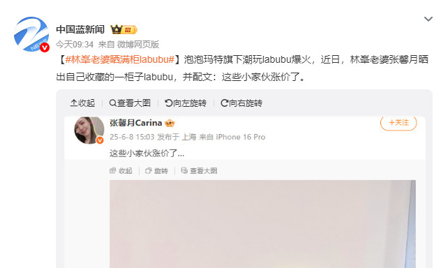 林峯老婆晒满柜labubu这标题是谁写的，这叫满柜？我还以为是那种一大面墙的柜