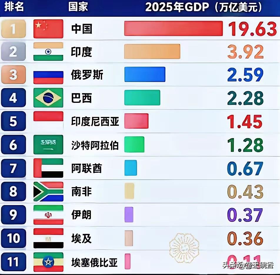 大金砖组织的成色纯不纯不看别国要看中国。看看整个金砖组织成员国其余10国GDP加