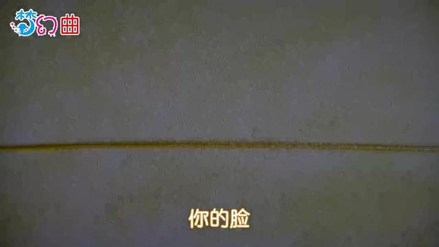 北极星的眼泪竖笛曲谱_天赋异禀北极星图片