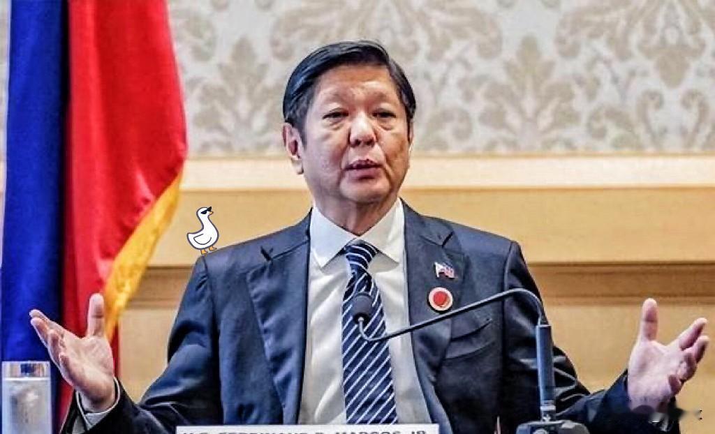 菲律宾彻底没想到，中国这次不玩虚的近期面对菲律宾接连做出的不当举动，我方接连