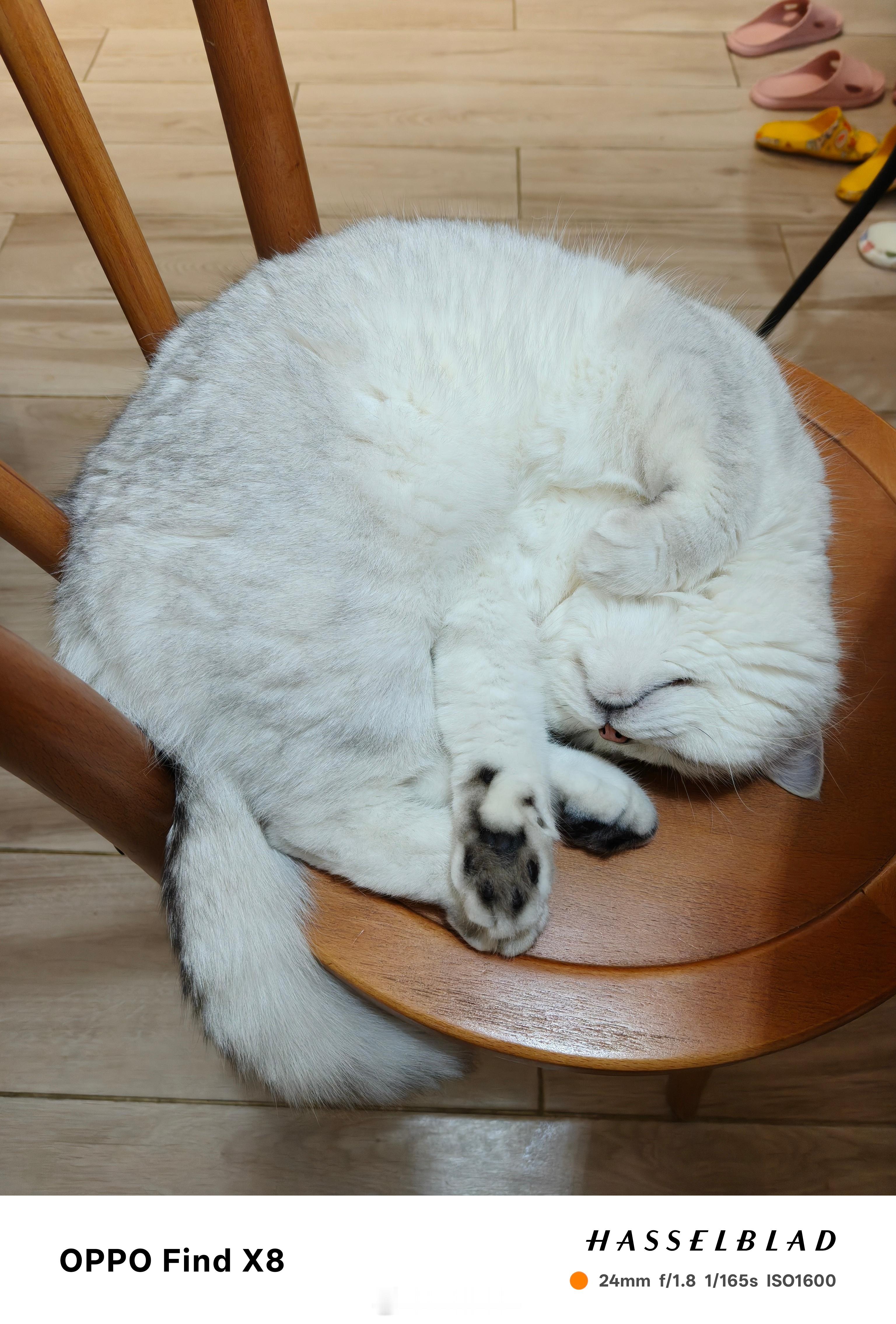 我家这猫也太舒服了吧​​​