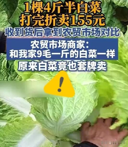 刷到155元一棵白菜的消息，我直接惊掉下巴！不管这价格是真的还是炒作，都离谱到没