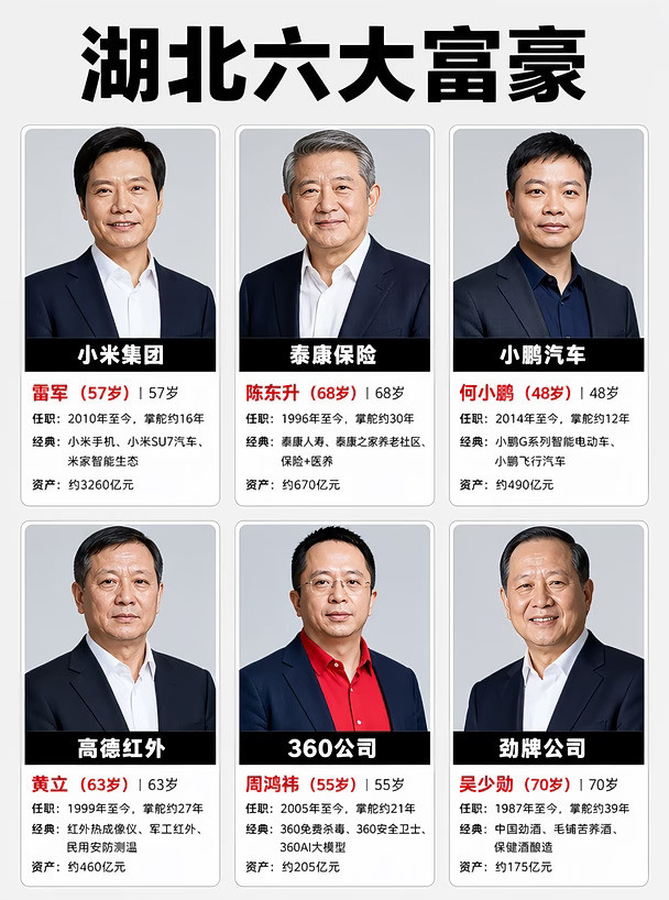 湖北六大富豪