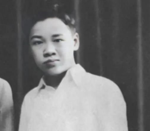 1948年，胡适决定携全家离开大陆，但唯独有一人死活也不肯走，他就是胡适的儿子胡