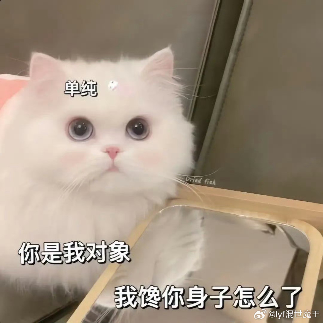有私信问我怎么跟对象相处更自然尤其是一些喜好包括床上的xpem……怎么说呢