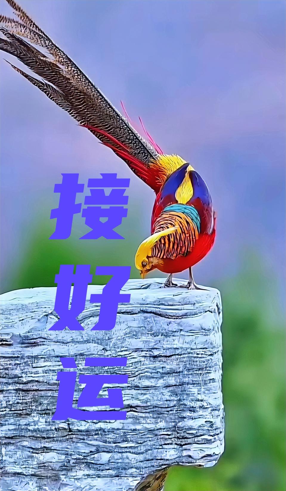 接了！周运（4/5～11）前六名——天秤座♎️贵人运旺，果断出击，开启新生…