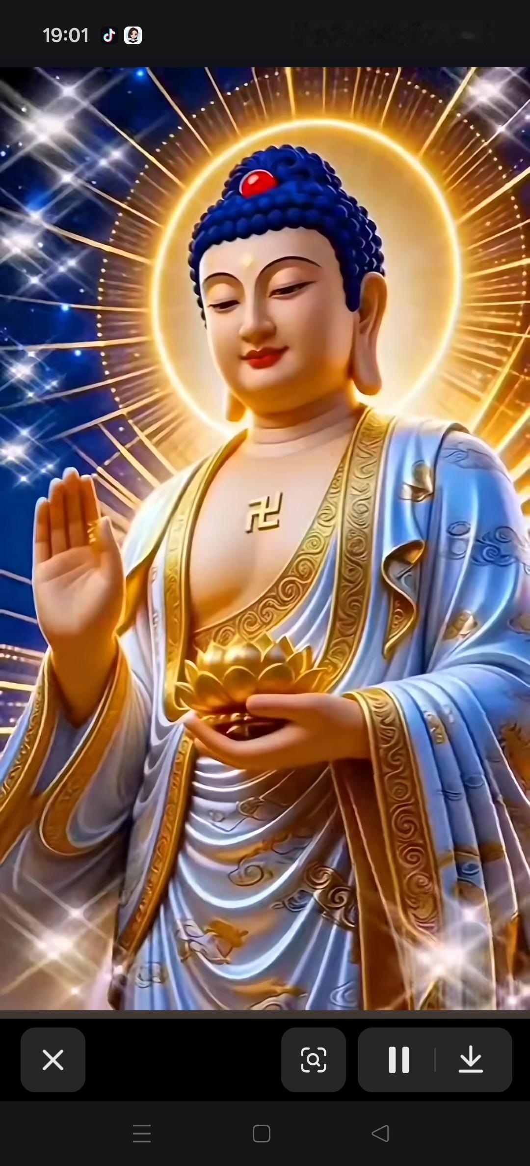 读善导大师「四十八字愿成释」，念佛人的安心之法学佛念佛、向往西方净土的同修