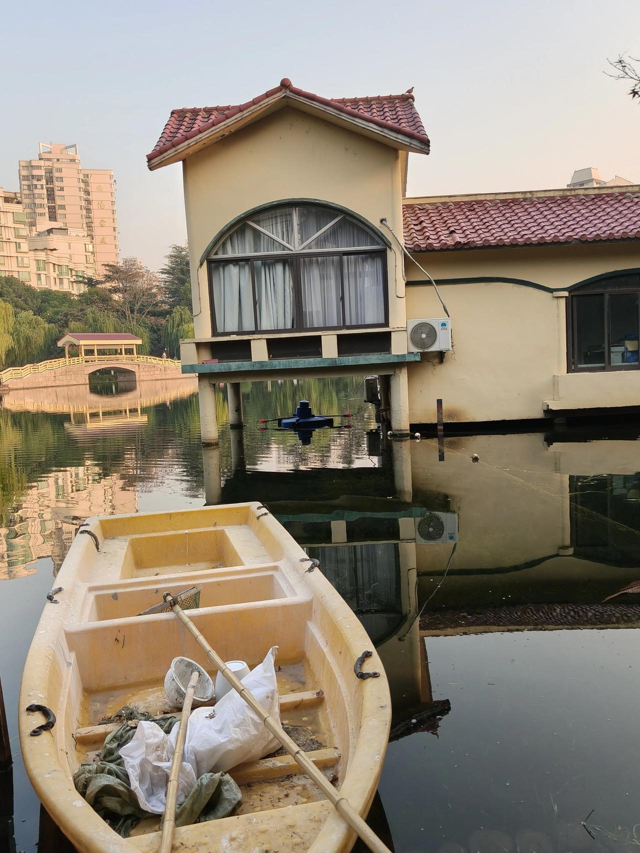 冬日美景随手拍实景图分享！公园散步随手拍～🌲🌲🌼🌼🍁🍁🍂🍂