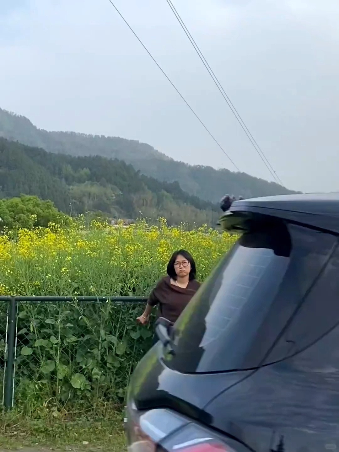 原po的live图最后定格在了一闪而过的车贴上但是我发的不是