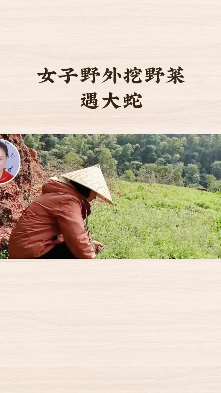 挖野菜遇大蛇，是人吓蛇还是蛇吓人？近日，有女子在野外挖野菜时意外遭遇大蛇，双方