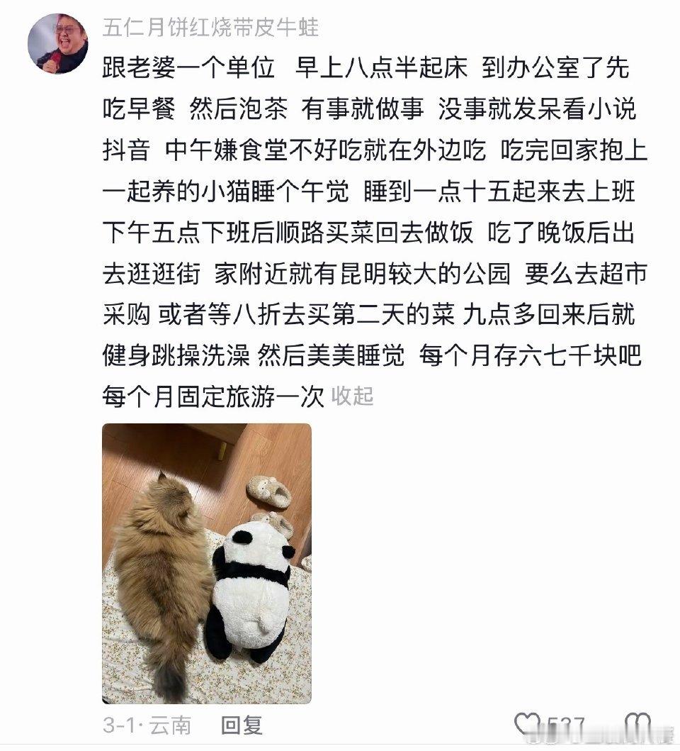 体制内的生活具象化了！