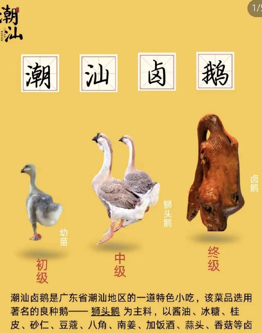 在潮汕一个狮头鹅鹅头能1880一个。但东北的大鹅一斤7块，老公问我，凭什么你