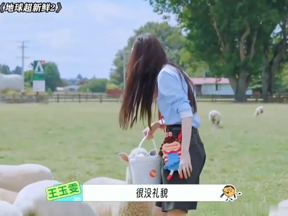 王玉雯林一把羊当狗训地球超新鲜太喜欢他俩松弛的综艺状态了！投喂小羊全程趣味不断，