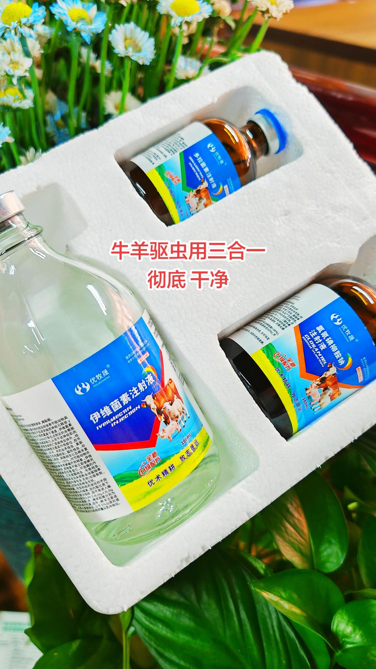 养羊人农村养羊牛羊驱虫