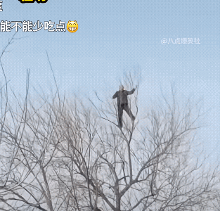 我就想知道，他怎么下来的？