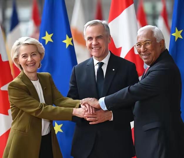 在特朗普再次尝试接管格陵兰岛之时，加拿大媒体发布的最新民调结果显示，加拿大人有4