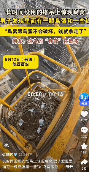 “天呀，发财了”陕西西安，一男子由于长时间没有使用塔吊。后来第一天上班，回头来看