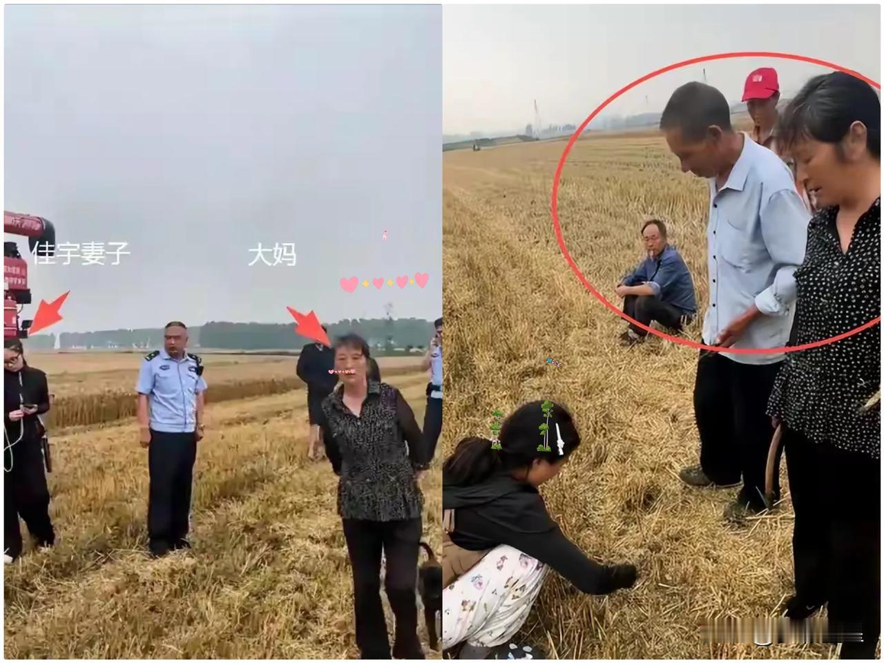 作为湖北人，我得说句公道话，这位大娘的子女你们自己看着办！别人农机手看着你家老