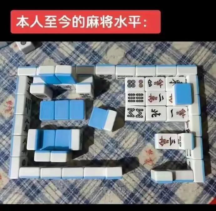 哈哈，其实摆的挺不错的[狗头]