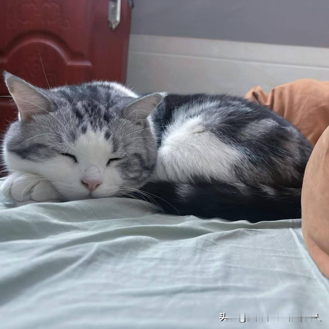 愁死我了！小姑子出嫁都十年了，可她出嫁前住的房间却一直锁着，钥匙就她自己有，还说