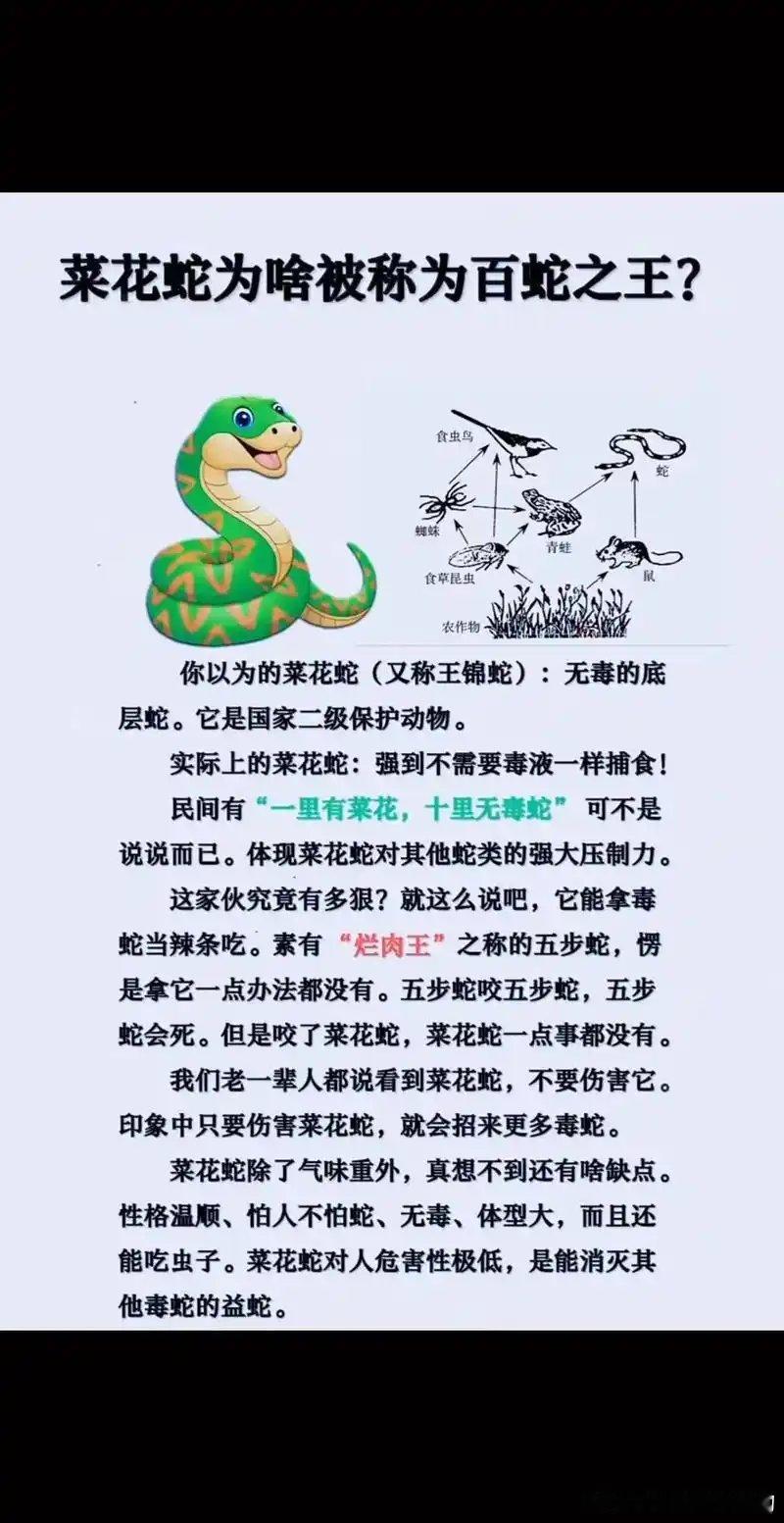 最近我们小区混进了一群社会黄毛牛蛙，半夜叫个不停，业主群和我同样神经衰弱睡眠障碍